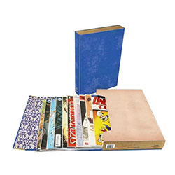 BCW COMIC BOOK STOR-FOLIO CARRYING CASE