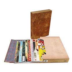 BCW COMIC BOOK STOR-FOLIO CARRYING CASE