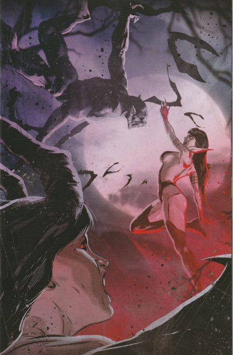 Vampirella VS Purgatori # 5 Variant 1:7 Cover NM Dynamite [A3]
