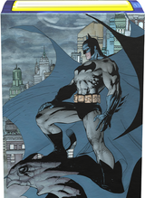 Dragon Shield - 100ct - Iconic DC Characters Art Sleeves - Standard Size